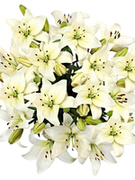 Flowers Bouquet "White Lilies"