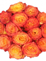 Bouquet of 15 yellow-orange Roses