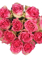 Bouquet of 15 Malibu Pink Roses