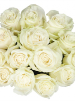 Bouquet of 15 White Mondial Roses