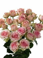 Round bouquet of 5 Peony Majolika Pink Spray roses 