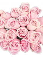 Bouquet of 15  Pink Roses Rosita Vendela
