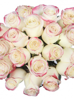 Bouquet of 15 White Pink Roses Sweetnees