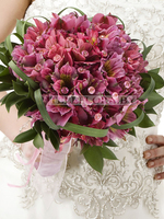 Alstroemeria wedding bouquet 'Alliance'