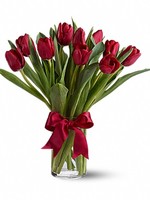 Bouquet of flowers "11 red Tulips"