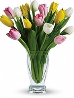 Bouquet of Flowers "15 Tulip Treasure"