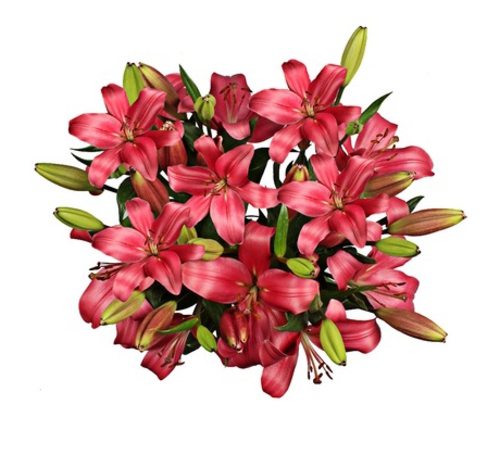 Flowers Bouquet "Red Lilies"
