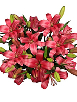 Flowers Bouquet "Red Lilies"