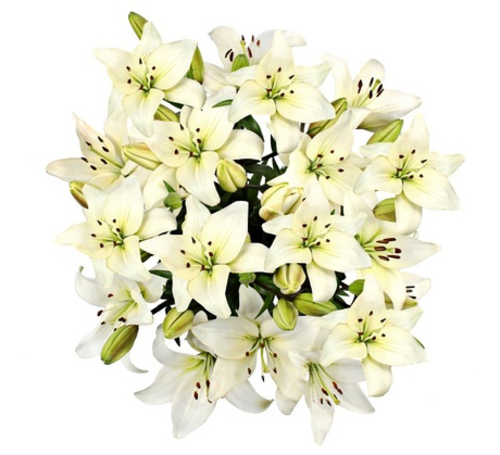 Flowers Bouquet "White Lilies"
