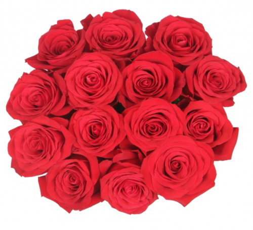 Round bouquet of 15 red roses Freedom