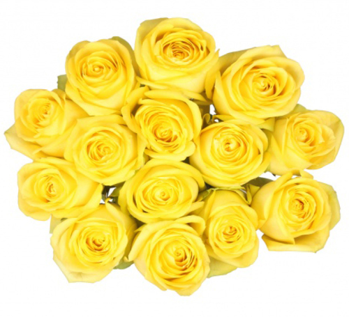 Bouquet of 15 Yellow Roses