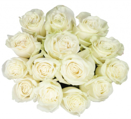 Bouquet of 15 White Mondial Roses