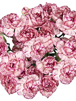 Bouquet of 9 Purple Spray Carnations Puya