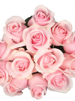 Bouquet of 15 Pastel Pink Roses Titanik