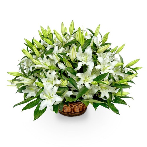 White Lilies VIP basket