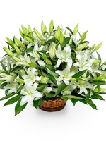 White Lilies VIP basket