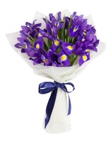Bouquet of 17 blue irises