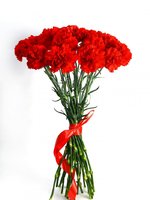 Bouquet of 21 red carnations