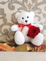 Teddy bear white with a rose and a gift.