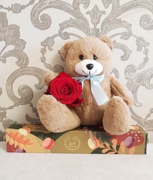 Teddy bear brown with a rose and a gift