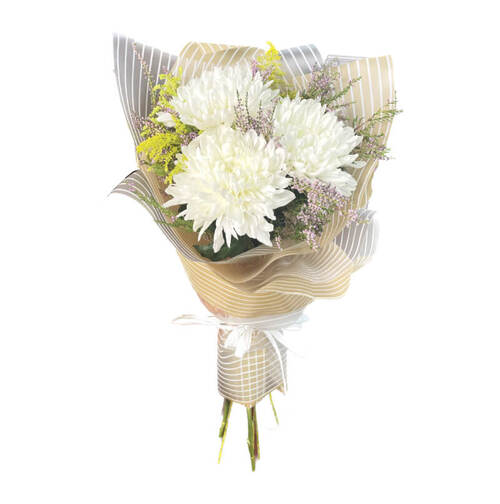 Bouquet of 3 white single-headed chrysanthemums