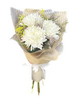 Bouquet of 3 white single-headed chrysanthemums
