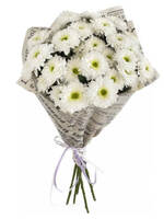 Bouquet of 5 white chrysanthemums