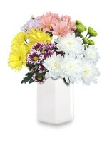 Bouquet of colorful chrysanthemums